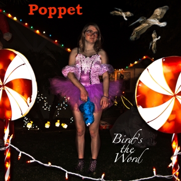 poppet birds the word